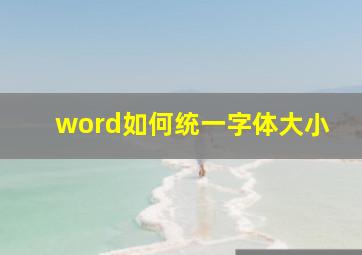 word如何统一字体大小