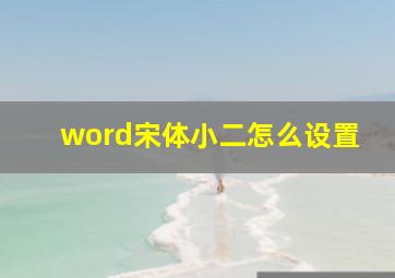 word宋体小二怎么设置