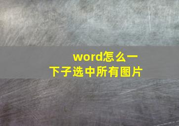 word怎么一下子选中所有图片