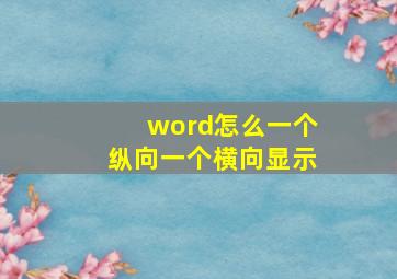 word怎么一个纵向一个横向显示