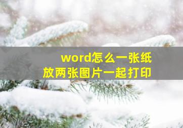 word怎么一张纸放两张图片一起打印