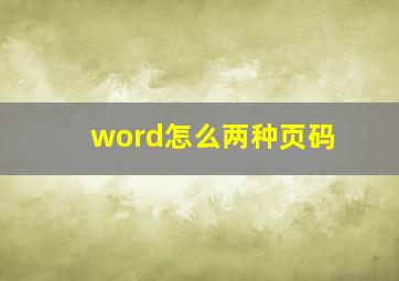 word怎么两种页码