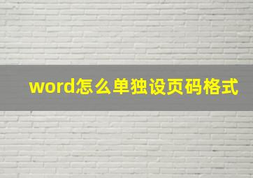 word怎么单独设页码格式