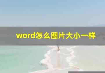 word怎么图片大小一样