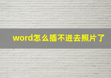 word怎么插不进去照片了