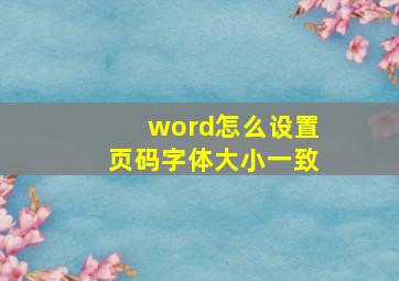 word怎么设置页码字体大小一致