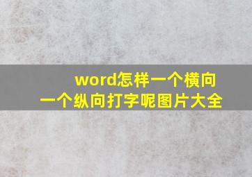 word怎样一个横向一个纵向打字呢图片大全