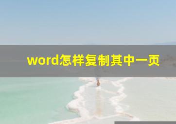 word怎样复制其中一页