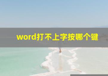 word打不上字按哪个键