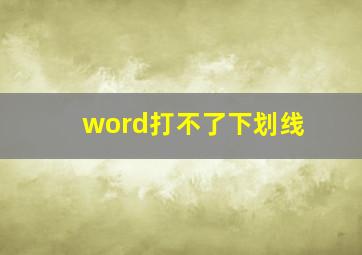 word打不了下划线