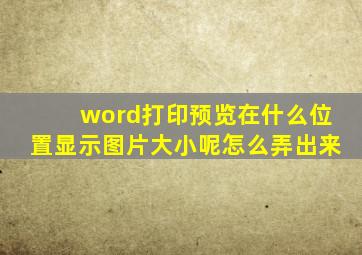 word打印预览在什么位置显示图片大小呢怎么弄出来