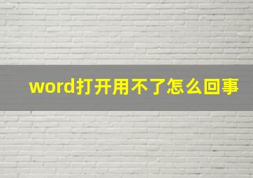 word打开用不了怎么回事