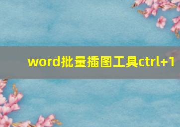 word批量插图工具ctrl+1