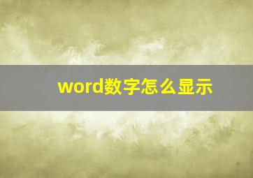 word数字怎么显示