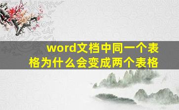 word文档中同一个表格为什么会变成两个表格