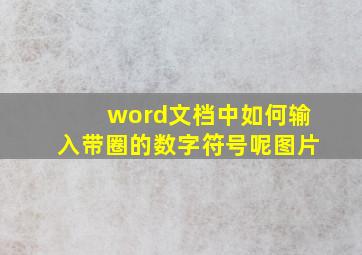 word文档中如何输入带圈的数字符号呢图片