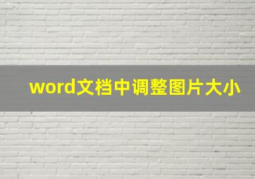 word文档中调整图片大小