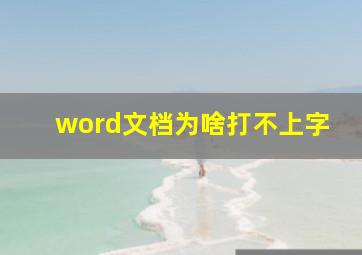 word文档为啥打不上字