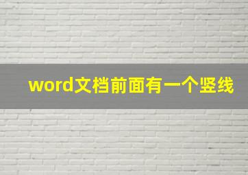 word文档前面有一个竖线