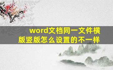 word文档同一文件横版竖版怎么设置的不一样