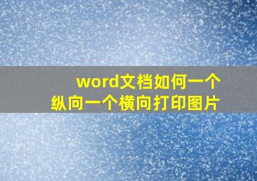 word文档如何一个纵向一个横向打印图片