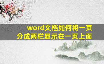 word文档如何将一页分成两栏显示在一页上面