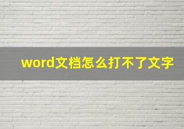 word文档怎么打不了文字