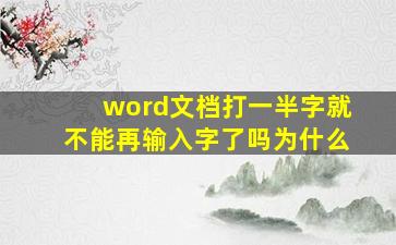 word文档打一半字就不能再输入字了吗为什么