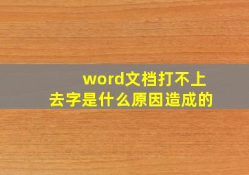 word文档打不上去字是什么原因造成的