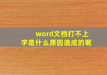 word文档打不上字是什么原因造成的呢