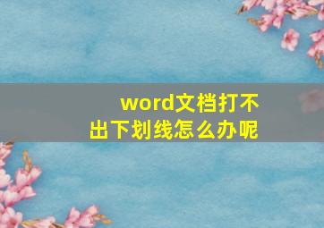 word文档打不出下划线怎么办呢