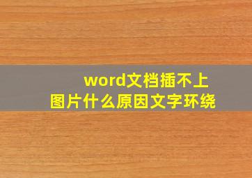 word文档插不上图片什么原因文字环绕