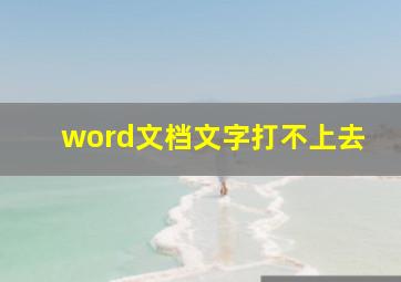 word文档文字打不上去