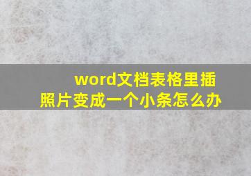 word文档表格里插照片变成一个小条怎么办