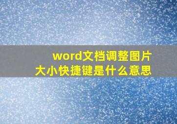 word文档调整图片大小快捷键是什么意思