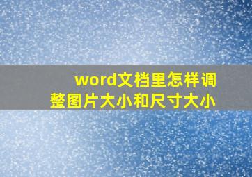 word文档里怎样调整图片大小和尺寸大小