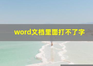 word文档里面打不了字