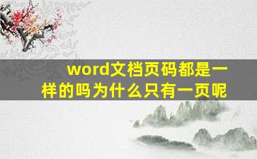 word文档页码都是一样的吗为什么只有一页呢