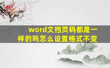 word文档页码都是一样的吗怎么设置格式不变