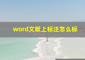 word文献上标注怎么标