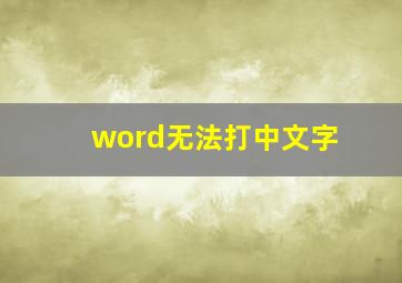 word无法打中文字