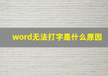 word无法打字是什么原因