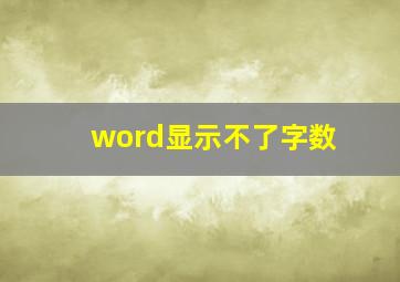 word显示不了字数