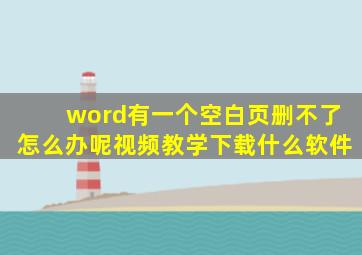 word有一个空白页删不了怎么办呢视频教学下载什么软件