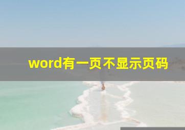 word有一页不显示页码