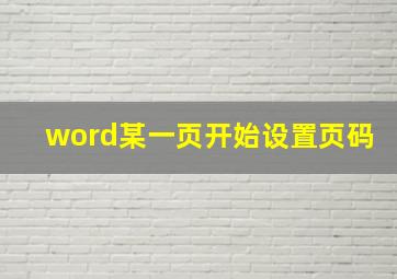 word某一页开始设置页码