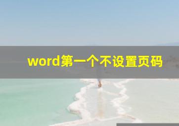 word第一个不设置页码