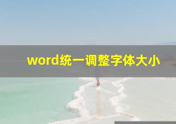 word统一调整字体大小