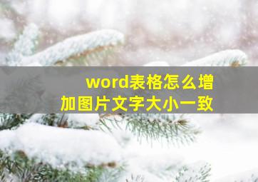 word表格怎么增加图片文字大小一致