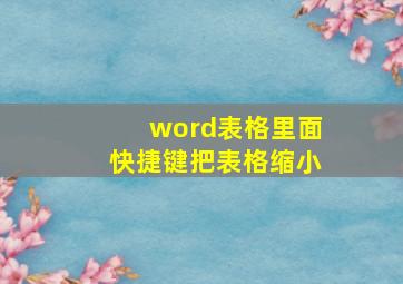 word表格里面快捷键把表格缩小